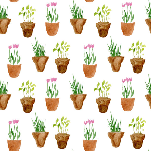 无缝模式与可爱的植物在盆孤立的白色背景图片下载