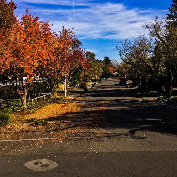 加州北部秋天图片下载