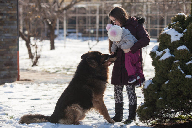 妈妈带着女儿和狗在冬天散步图片下载