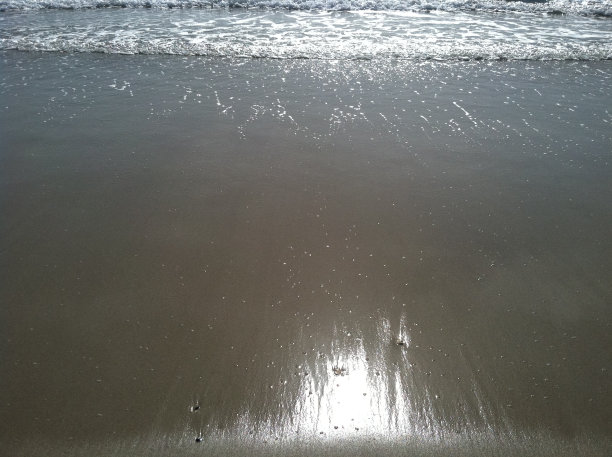 海洋的影子图片下载