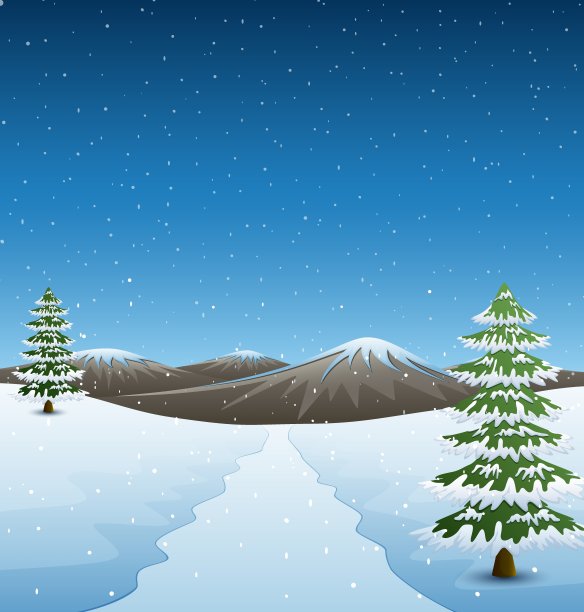 冬季山地景观与道路和冷杉树图片下载