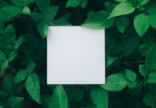 鲜花和树叶与纸卡便条。复古风格的图片和复古的颜色图片下载