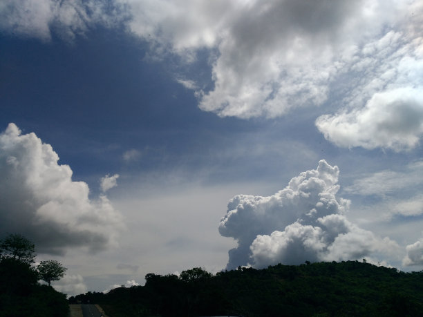 树木和建筑物仰天俯视图片下载