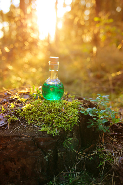草药绿色酊剂在一个树桩在太阳在日落的森林。在长满苔藓的树桩上。中药药剂。魔法药水。顺势疗法药物。有机化妆品图片下载