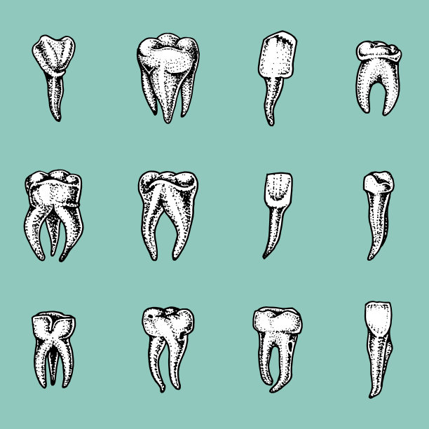 磨牙珐琅质，牙套。牙医的工作和照顾孩子。口腔清洁或脏。健康或蛀人。用旧素描手绘，复古风格。医学的象征图片下载