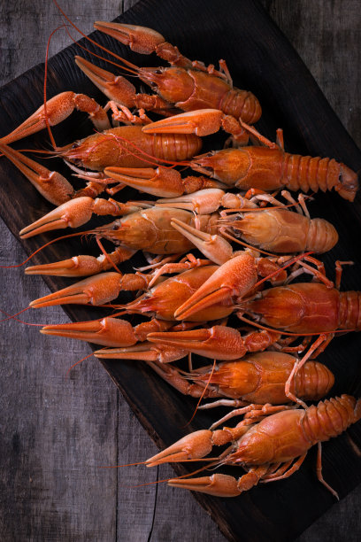 煮小龙虾与莳萝在黑暗的背景图片下载