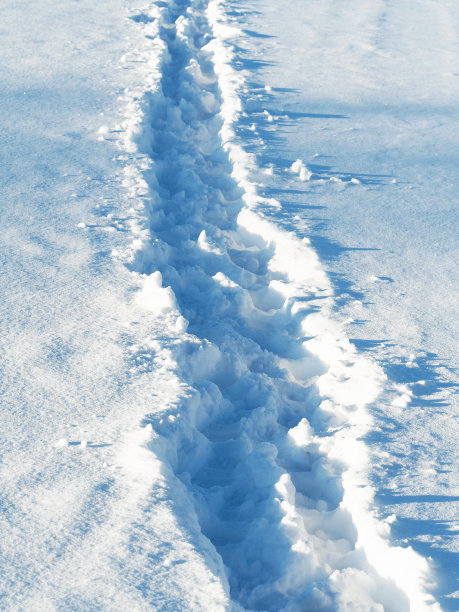 深雪里的小路，雪地里的脚印。冬天的小径，被践踏的小径图片下载