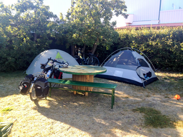 专家莫雷诺图片下载