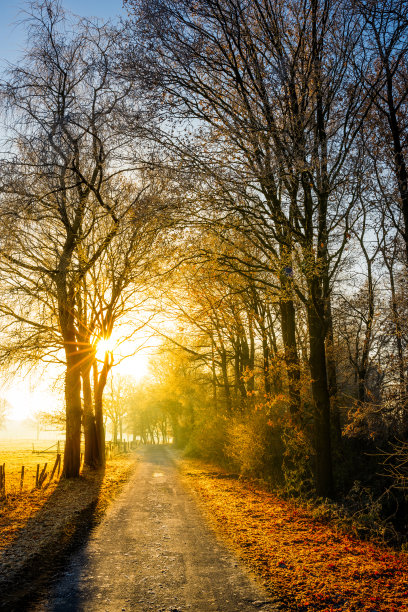 美丽的秋天日出图片下载