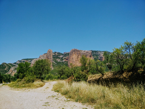 西班牙的山丘和树木图片下载