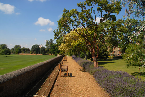 牛津大学学院花园素材图片