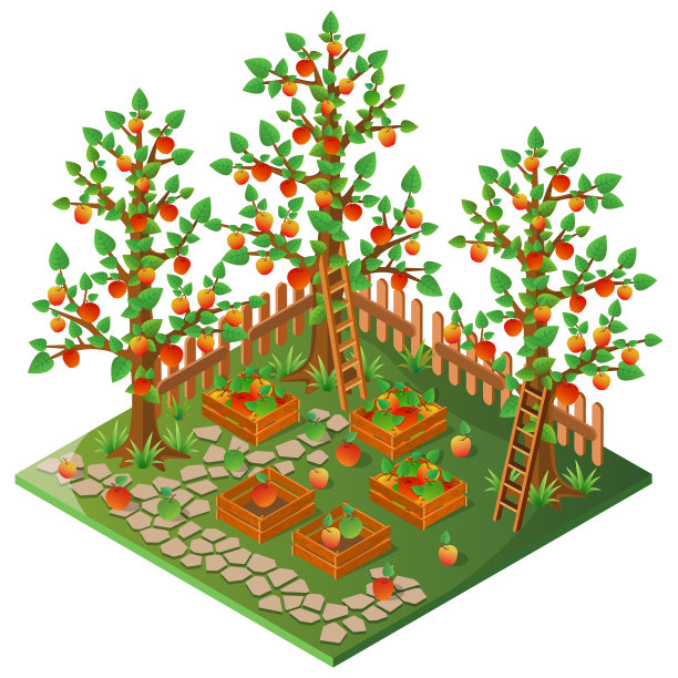 果园图片下载