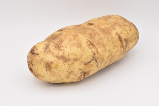 土豆在白图片下载