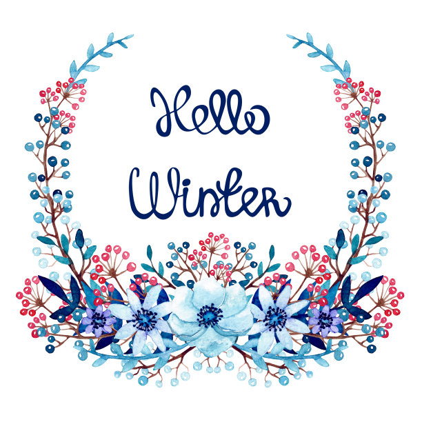 水彩冬季花卉和浆果花环图片下载