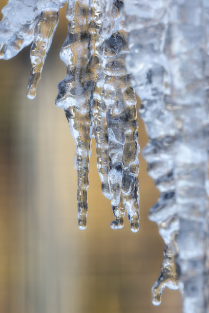冬天有冰柱图片下载