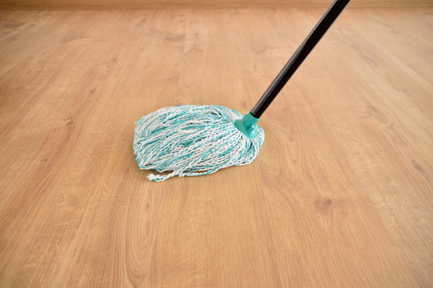 镶木地板清洁图片下载