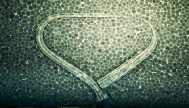 光从泡沫箱里照进来。图片下载