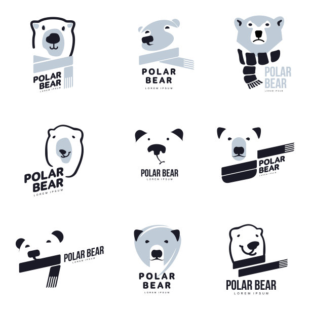 北极熊的头图片下载