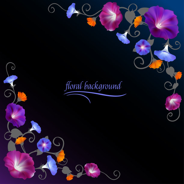 花。旋花植物。花的背景。妇女节。卡。框架。边境。图片下载