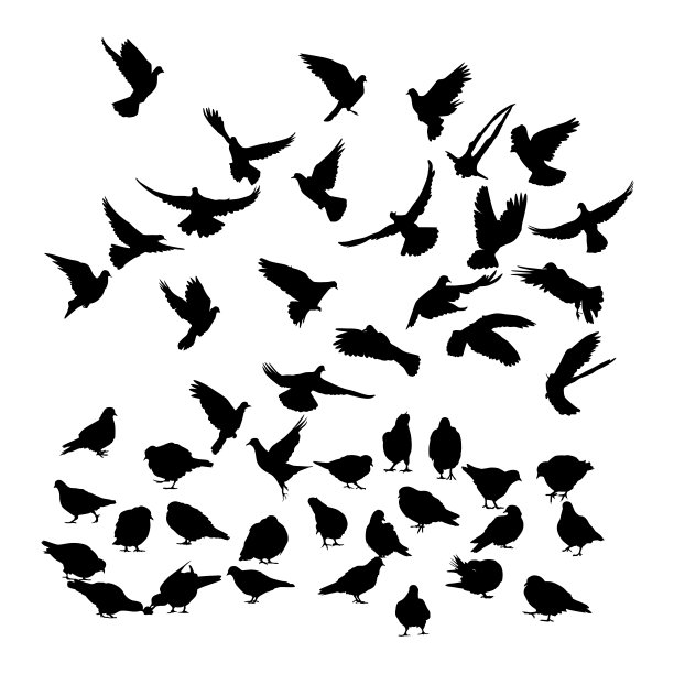 鸟瞰晴空的低角度鸟瞰图图片下载