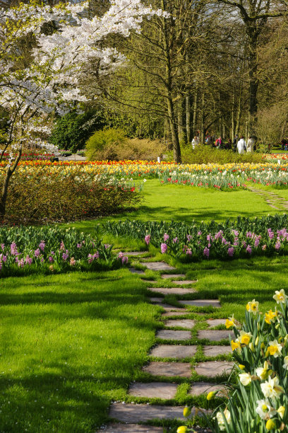 库肯霍夫花园和有花坛的走道图片下载