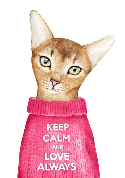 卡片设计的浪漫，爱，关系，感情的主题与可爱的年轻猫和动机引用“保持冷静和爱总是”。图片下载