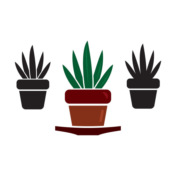 植物在花盆，花，室内植物矢量图标。园艺图标设置颜色图片下载