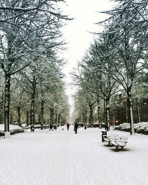 斯德哥尔摩斯诺图片下载