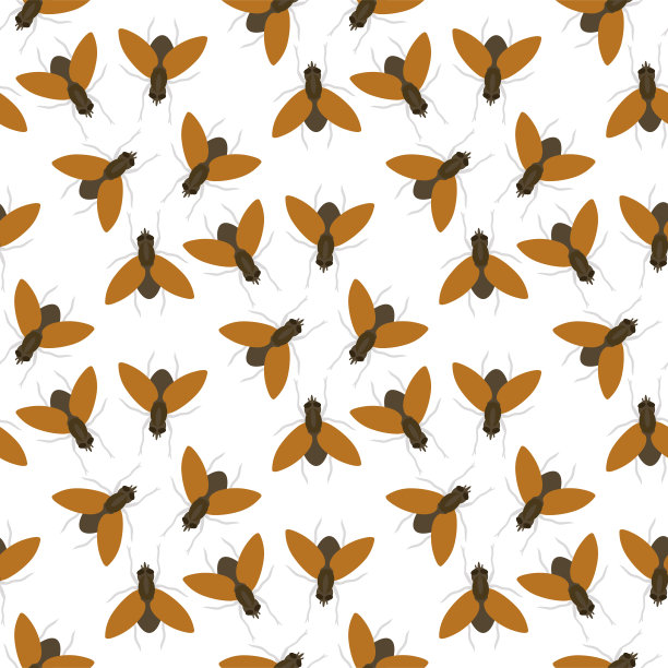 苍蝇昆虫野生昆虫学昆虫动物自然甲虫生物学嗡嗡图标矢量插图模式无缝背景图片下载