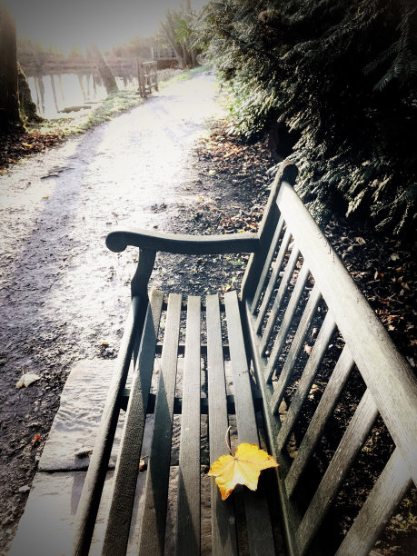 长凳上的秋叶图片下载