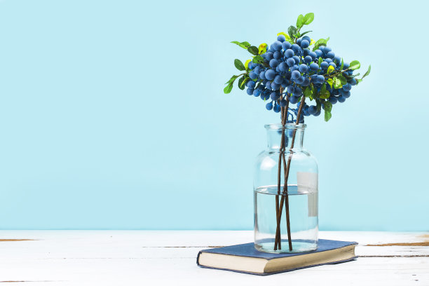 树枝照片素材ID：303188130