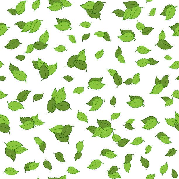 无缝模式与绿色叶子孤立在白色背景。手绘矢量背景与植物元素。图片下载