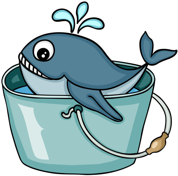 可爱的鲸鱼在水桶和水图片下载
