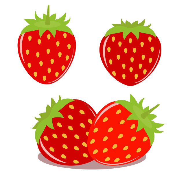 白色背景上的草莓。矢量插图。图片下载