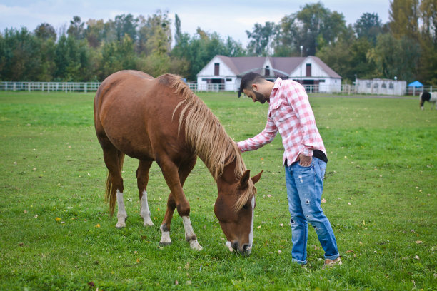 年轻英俊的牛仔。人是一个农场的农夫，农场里有许多马。农村景观,乡村。股票的照片图片下载