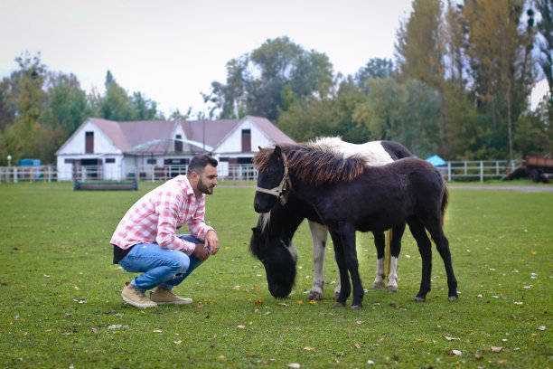 年轻英俊的牛仔。人是一个农场的农夫，农场里有许多马。农村景观,乡村。股票的照片图片下载
