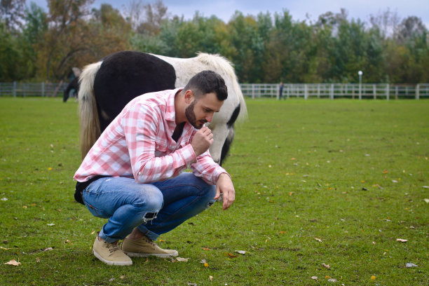 年轻英俊的牛仔。人是一个农场的农夫，农场里有许多马。农村景观,乡村。股票的照片图片下载