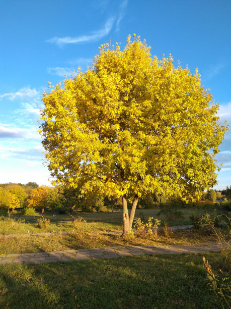 秋天的季节图片下载