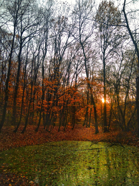 秋天的季节图片下载