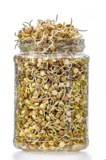 健康饮食:发芽的镜片图片下载