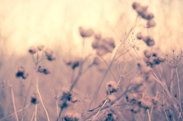 在《自然图片下载