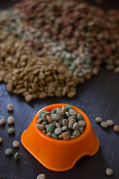 用橙色的碗盛干猫粮或狗粮。图片下载
