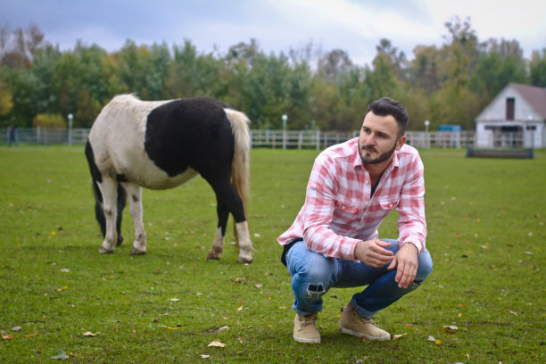 年轻英俊的牛仔。人是一个农场的农夫，农场里有许多马。农村景观,乡村。股票的照片图片下载