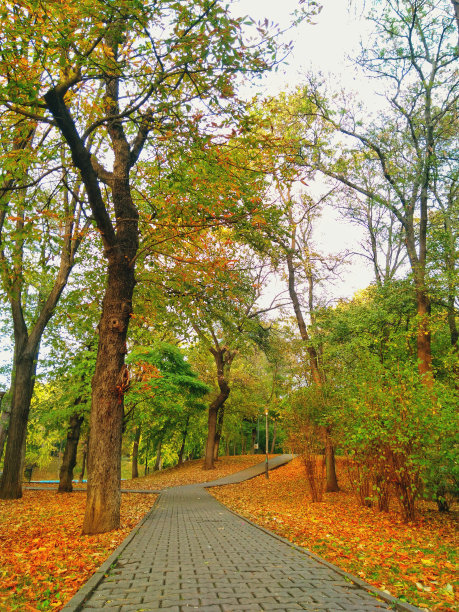 秋天的季节图片下载