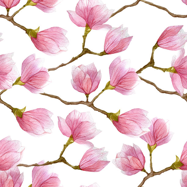 时尚玉兰纹理。水彩手绘无缝图案包装，织物，纺织品，墙纸和包装设计。图片下载