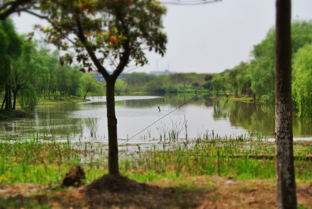 城市绿洲图片下载