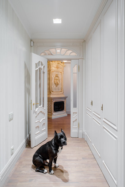黑狗在公寓的大厅里。木制的设计，白色的颜色。图片下载