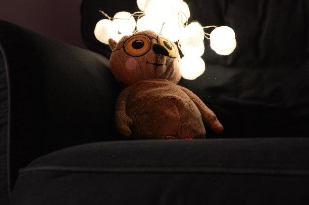 夜猫子图片下载