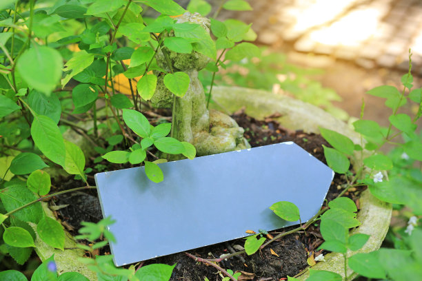 丘比特雕像和箭头空白标签在花园里。图片下载