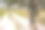 摄影师双手工作的后台概念。图片下载